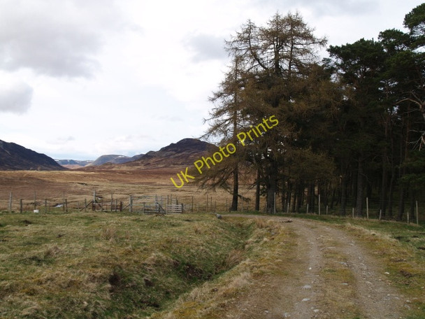 Photo 6"x4" Track behind Balgowan Balgowan\/NN6394 c2009