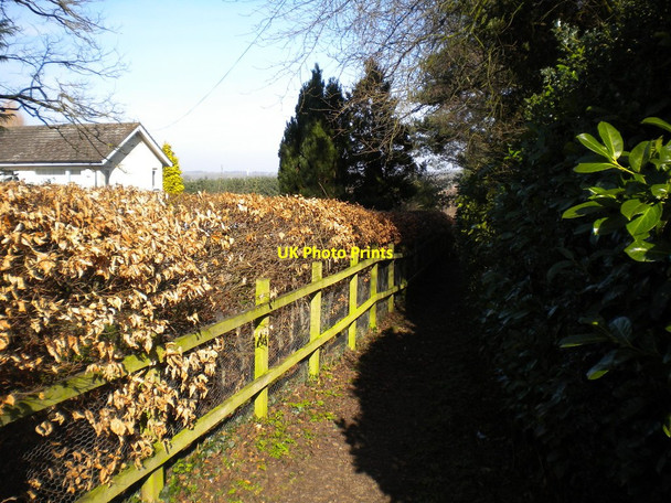 Photo 6"x4" Footpath off Sutton Lane, Etwall (1) Etwall c2018