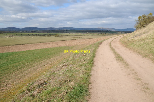 Photo 6"x4" Track and bridleway above Longdon Marsh Longdon\/SO8336 c2018