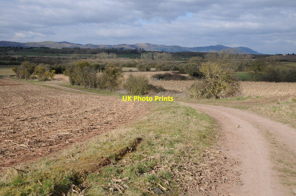 Photo 6"x4" Track and bridleway and Longdon Marsh Longdon\/SO8336 c2018