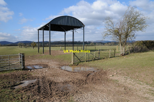 Photo 6"x4" Dutch barn on Longdon Marsh Longdon Hill End c2018
