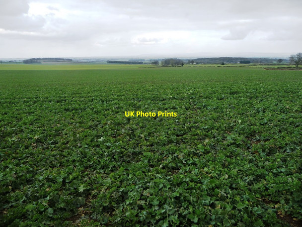 Photo 6"x4" Arable farmland, south of Thornton Watlass Thornton Watlass c2018