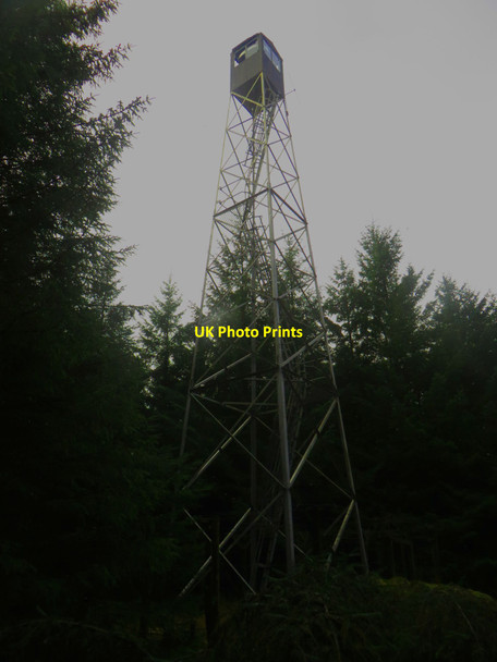 Photo 6"x4" Fire Observation Tower, Falstone Forest Falstone c2018
