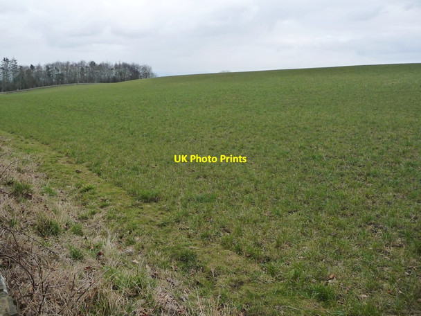 Photo 6"x4" Farmland between Hawkswell Lane and Craggs Lane Arrathorne c2018