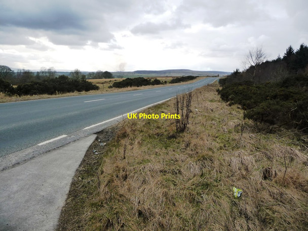 Photo 6"x4" The road to Dykes House and Halfpenny House Barden c2018