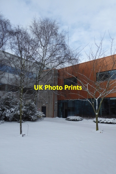 Photo 6"x4" Chemistry Quad in snow Heslington c2018