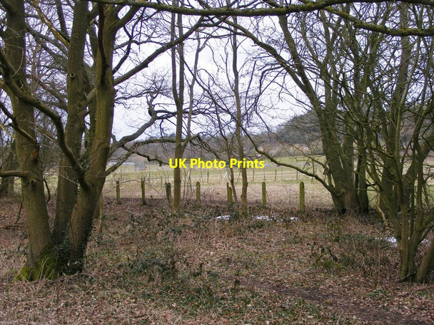 Photo 6"x4" Railway path View in March Orton\/SO8695 c2018