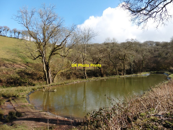 Photo 6"x4" Duck pond at Coleford Bottom Oakford\/SS9021 c2018