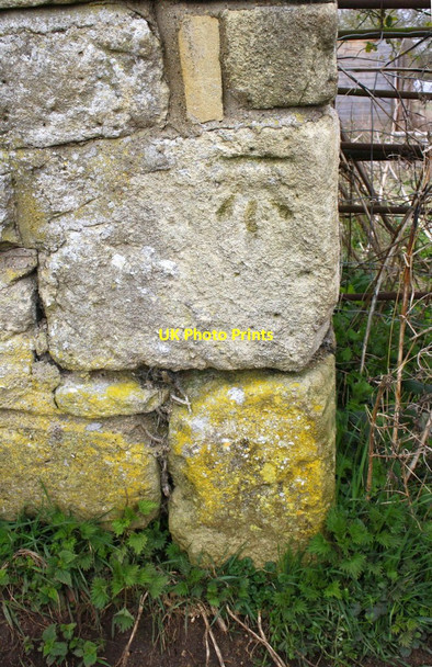 Photo 6"x4" Benchmark at doorway in wall at Medley Manor Farm Oxford\/SP5106 c2018