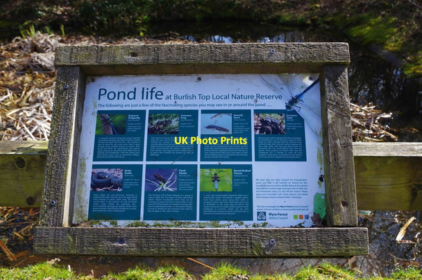 Photo 6"x4" Pond life information board, Burlish Top Nature Reserve, Stourport-on-Severn Stourport-on-Severn c2018