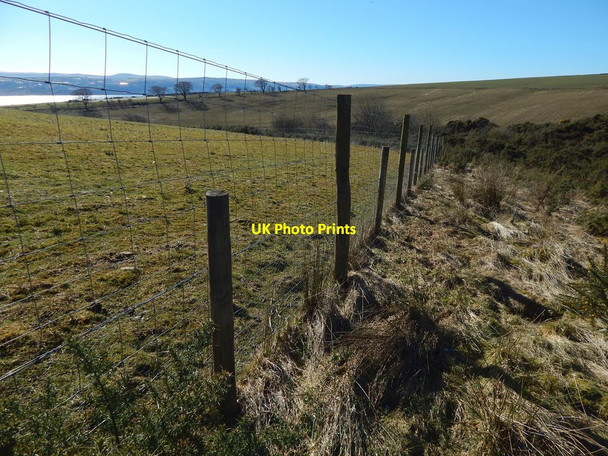 Photo 6"x4" Fence near Dick's Pond Ardoch\/NS3676 c2018