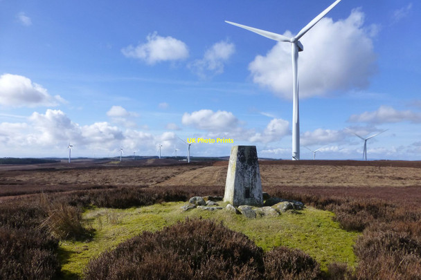 Photo 6"x4" Trig point on Black Down Knowesgate c2018