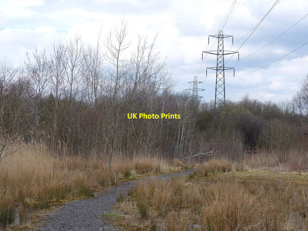 Photo 6"x4" Pylons at Wigan Flashes Nature Reserve Ince in Makerfield c2018