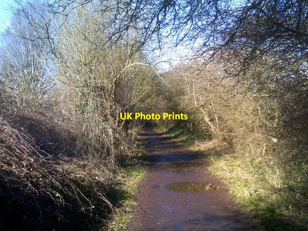 Photo 6"x4" Railway Walk Scene Ounsdale c2018