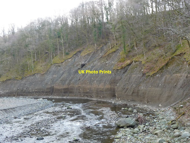 Photo 6"x4" Eroded river cliff and fallen trees, near Briery Keswick\/NY2623 c2018