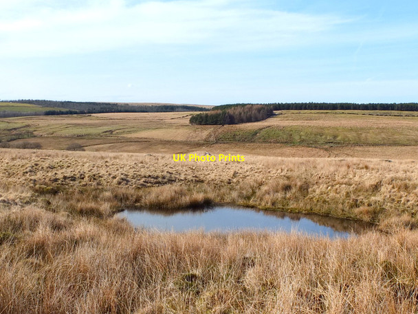 Photo 6"x4" Moorland pond West of Old Rachel's Lane Ends\/SD6115 c2018