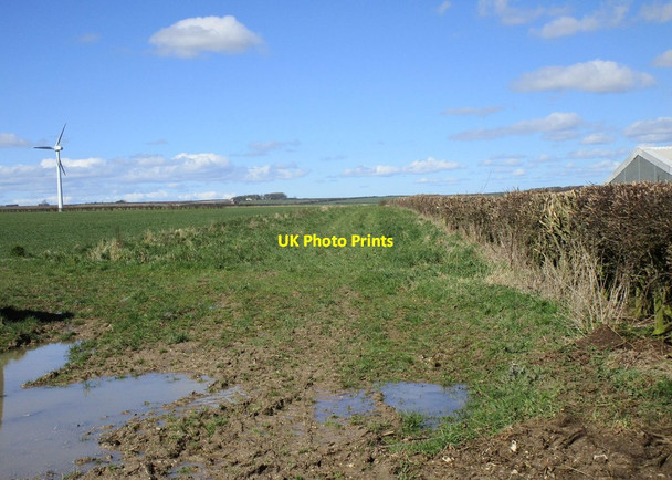 Photo 6"x4" Field edge and wind turbine, Driffield Wold Great Kendale c2018