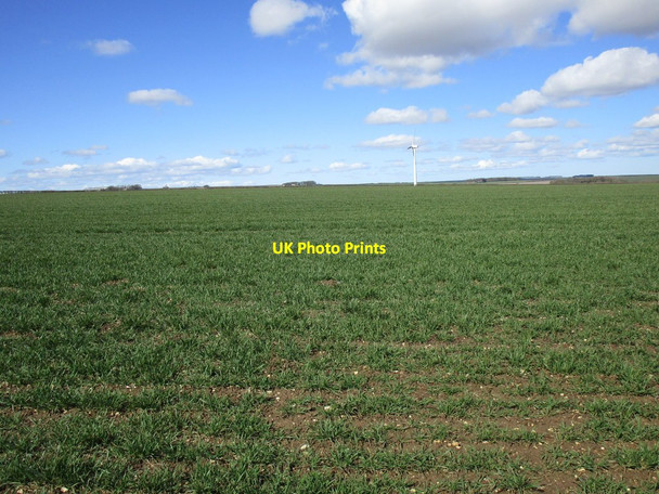 Photo 6"x4" Wheatfield and wind turbine on Driffield Wold Great Kendale c2018