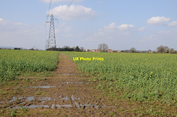 Photo 6"x4" Footpath and pylons Shoulton c2018