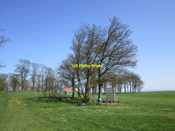 Photo 6"x4" The edge of the cricket field, Sewerby Bridlington c2018