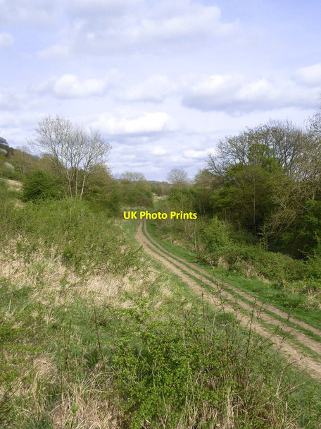 Photo 6"x4" Track along the North Downs scarp near Newlands Corner Newlands Corner c2018