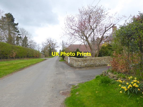 Photo 6"x4" Molesden village Molesden c2018