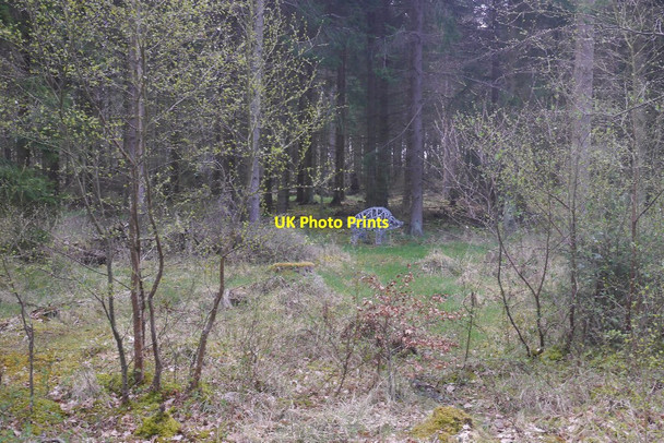 Photo 6"x4" Boar sculpture, Butterdean Wood Gladsmuir\/NT4573 c2018