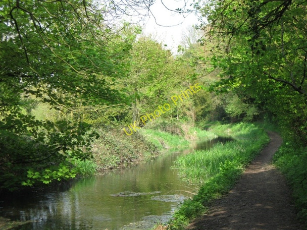 Photo 6"x4" Wendover Arm: The Canal East of Hare Bridge (No 8), Halton Wendover c2009