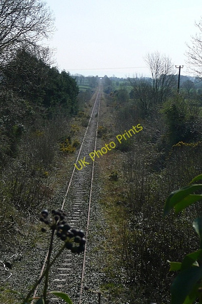 Photo 6"x4" Railway at Belleville Demesne Monivea c2009