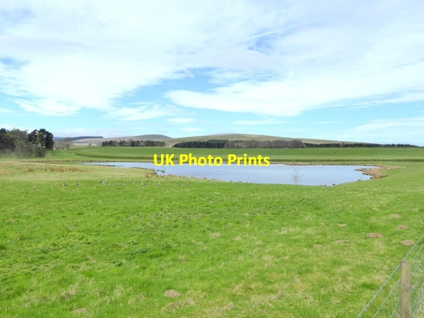 Photo 6"x4" Pond near Roddam Bog Plantation Roddam c2018