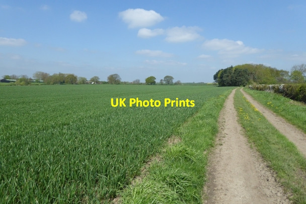 Photo 6"x4" Bridleway to Crakehill Crakehill c2018