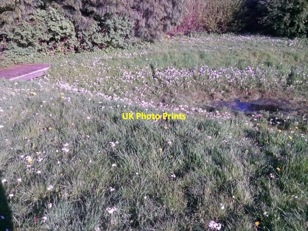 Photo 6"x4" Medieval fish pond, Llawhaden Llawhaden c2018