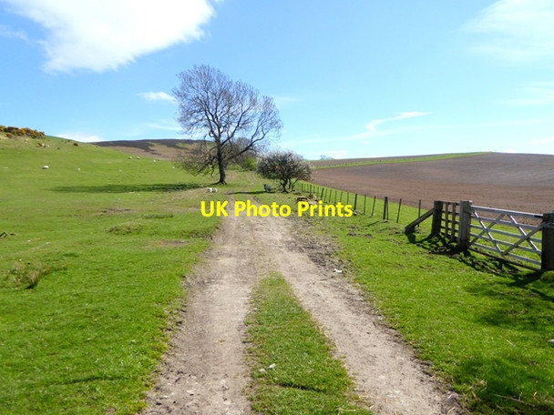 Photo 6"x4" Bridleway below Shepherds Law Titlington c2018