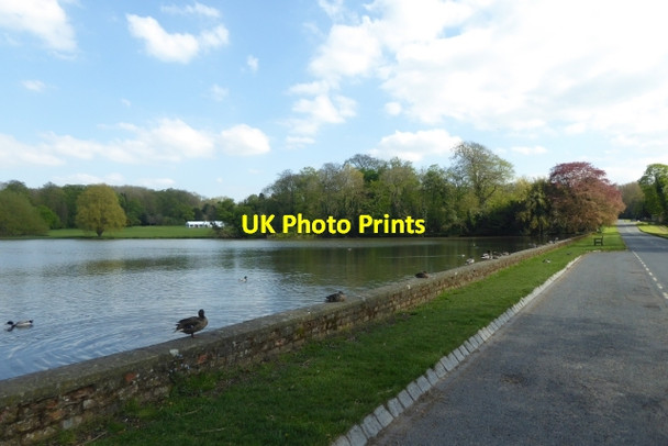 Photo 6"x4" Newburgh fish pond Coxwold c2018