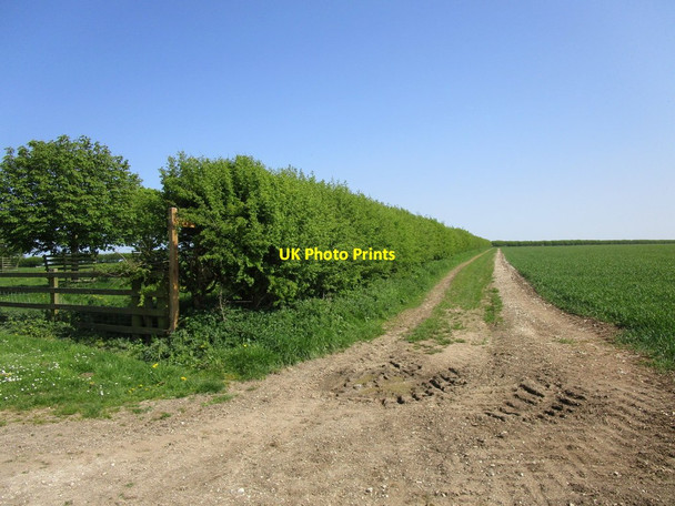 Photo 6"x4" Bridleway from High Caythorpe to Low Caythorpe Boynton c2018