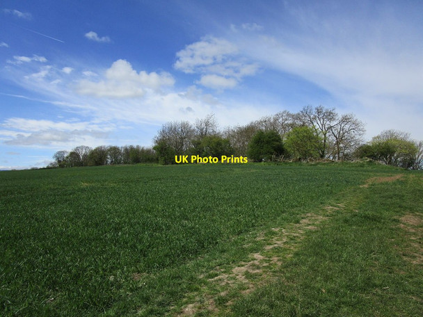 Photo 6"x4" Footpath and Wardenhill Quarry Hutton Magna c2018