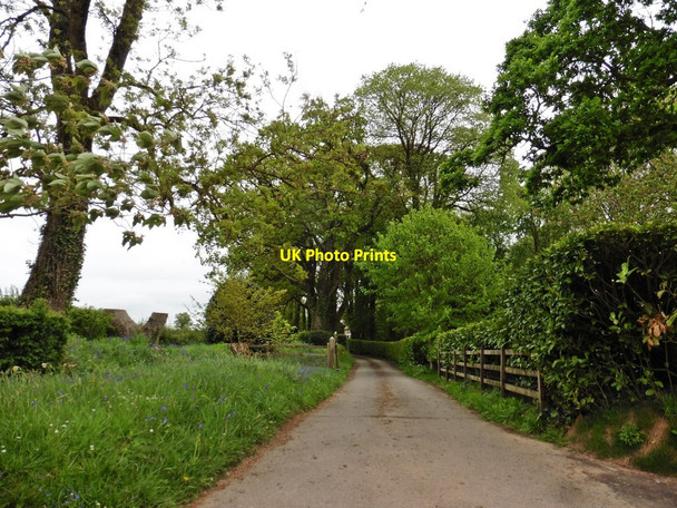 Photo 6"x4" Driveway to Holcombe Manor Ottery St Mary c2018
