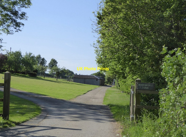 Photo 6"x4" The approach to Moorbridge Farm Ownham c2018