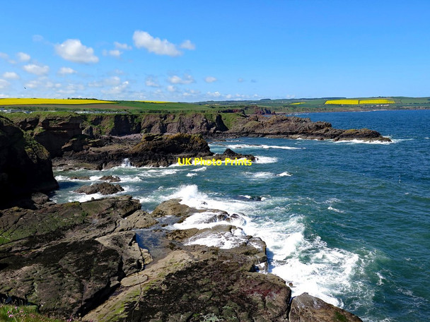 Photo 6"x4" Rocky shore west of Fort Point Eyemouth c2018
