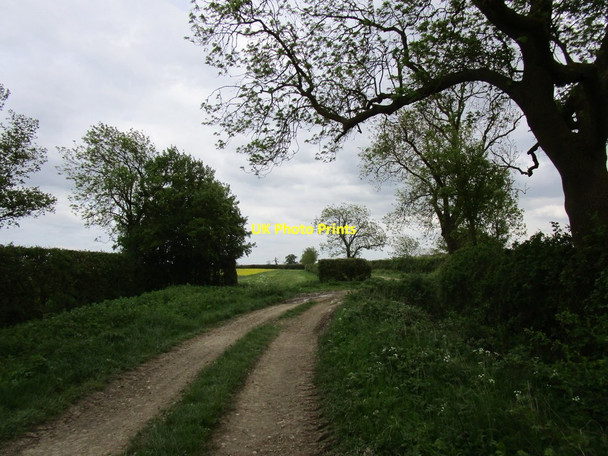 Photo 6"x4" Bridleway east of Edmondthorpe Wymondham\/SK8518 c2018