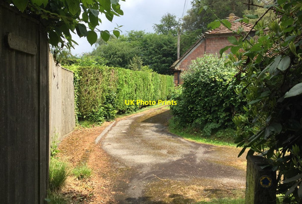 Photo 6"x4" Leaving the Bridleway at Brittenden Roser's Cross c2018