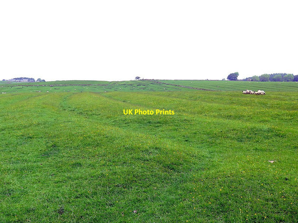 Photo 6"x4" Rig & furrow north-east of Kirkwhelpington Kirkwhelpington c2018