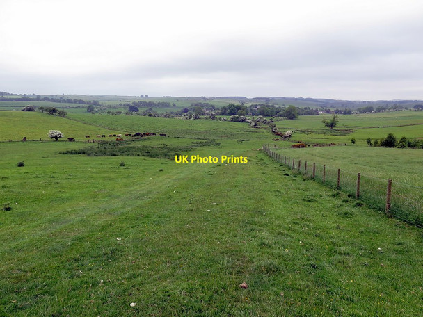 Photo 6"x4" Bridleway south-west of Fawns Kirkwhelpington c2018