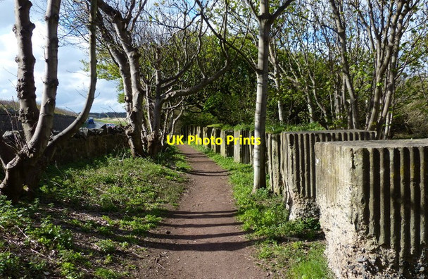 Photo 6"x4" Anti-tank blocks next to the John Muir Way Craigielaw c2018
