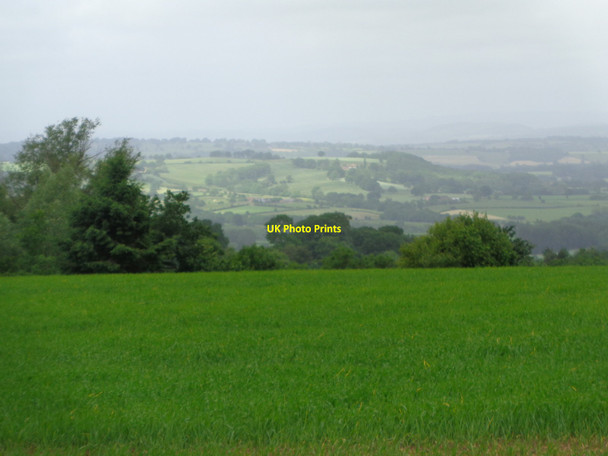 Photo 6"x4" Fields near Broadheath from a footpath Hanley Child c2018
