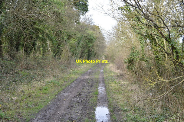 Photo 6"x4" Saxon Shore Way Court-at-Street c2018 P3