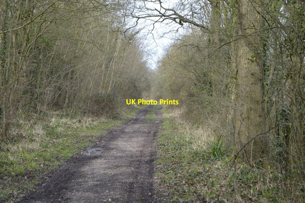 Photo 6"x4" Saxon Shore Way Court-at-Street c2018 P4