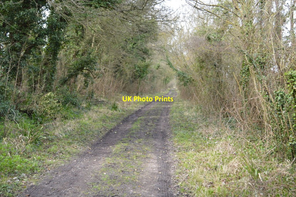 Photo 6"x4" Saxon Shore Way Court-at-Street c2018 P6