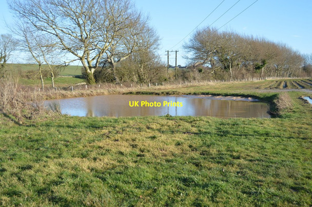 Photo 6"x4" Pond in North Stream Valley Great Mongeham c2018