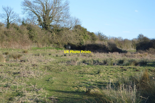 Photo 6"x4" White Cliffs Country Trail Great Mongeham c2018
